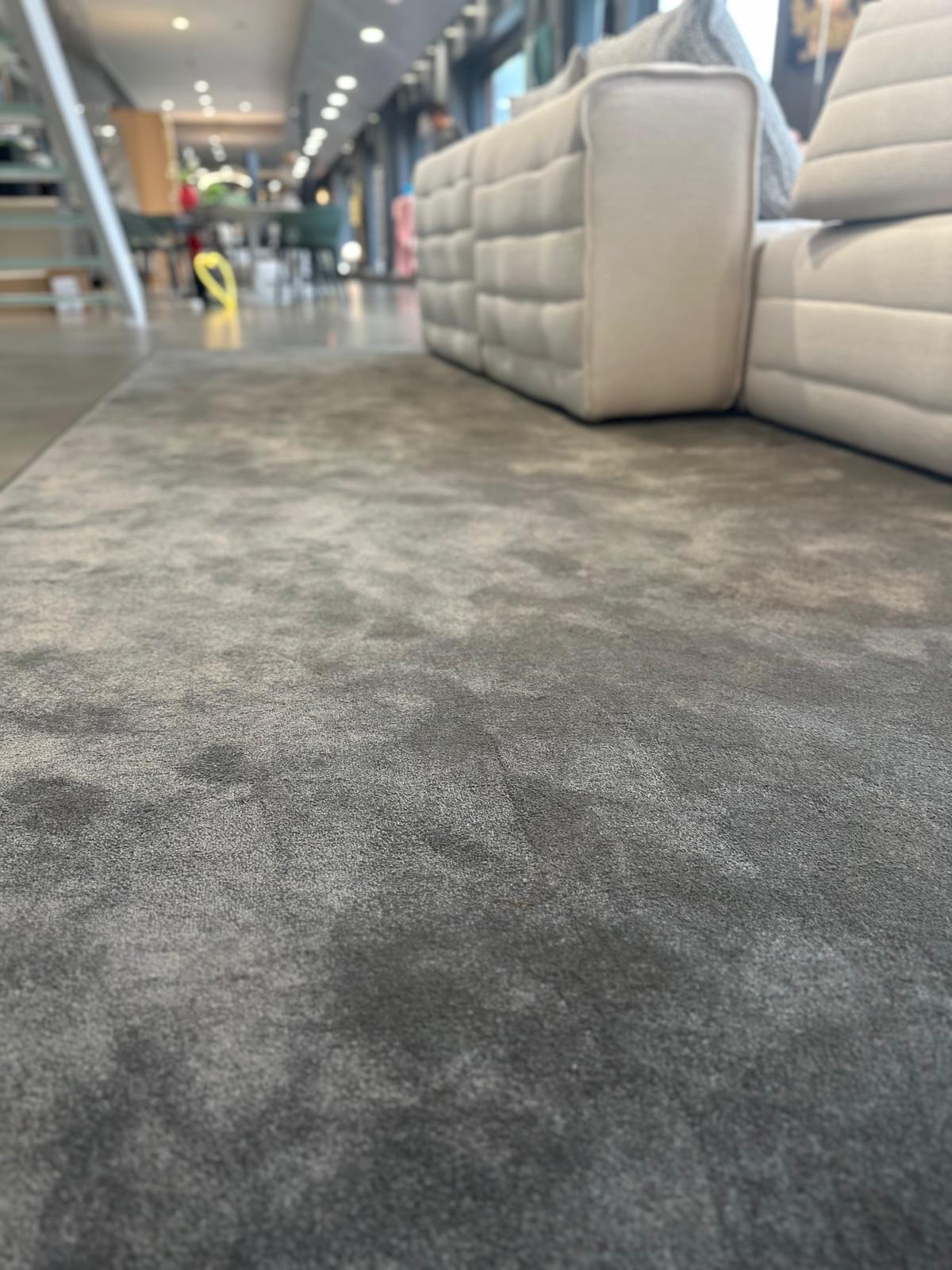 Art Nova, Tappeto Roy 300x400 cm grigio