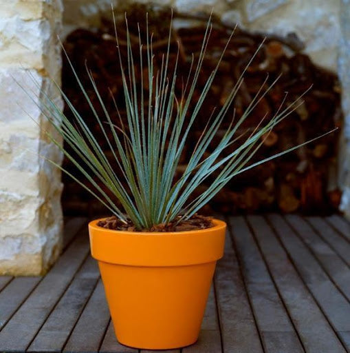 Vondom, vaso Maceta basic blu navy, D14x12 cm, propilene, designer Maceteros