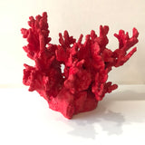 Enzo De Gasperi, decorazione corallo rosso, h25 x d30 cm