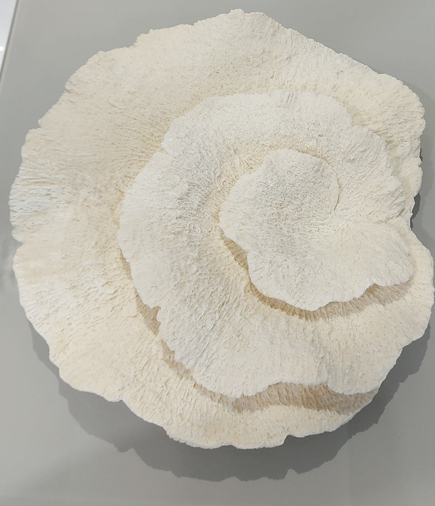 Enzo De Gasperi, decorazione fungiamarina bianca piccola, h7x33x31 cm
