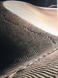 Dorta Raffaella, quadro "Percorso nel Deserto", olio su tela e tecnica mista, 70x140
