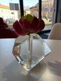 Abhika, vaso Bold S, resina trasparente, h13x14x14 cm
